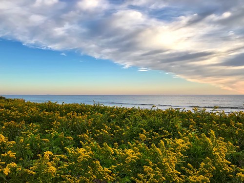 photoshop pixelmator iphone massachusetts ocean flowers goldenrod plumisland sunrise