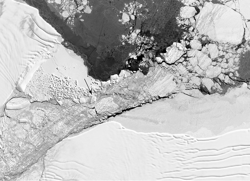 Landsat 8 View of the Rectangular Iceberg