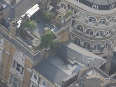 green roofs of London