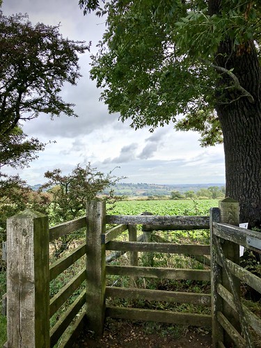 gate cotswoldway england cotswolds rightofway trees