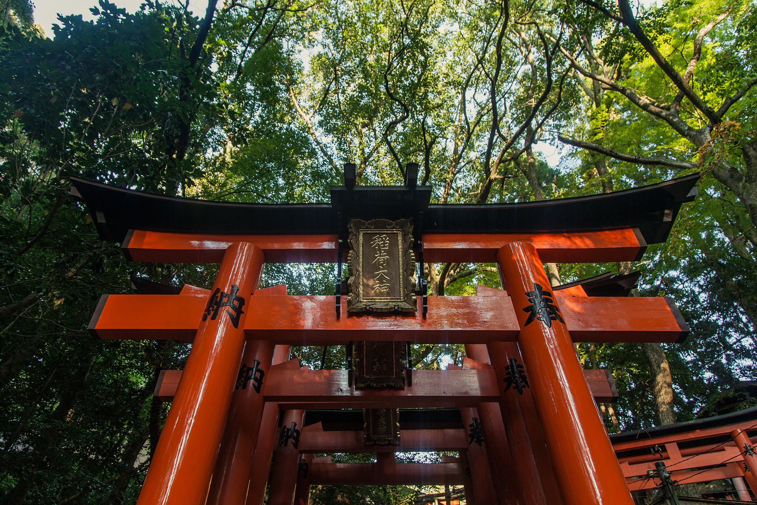Fushimi Inari Taisha 伏見稲荷大社