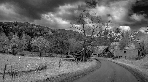 farm wvlindside barn road clouds fence autumn animals mountains bobbell fujifilm bw