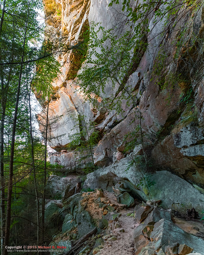 hdr hiking jamestown landscape meetup nashvillehikingmeetup nature panorama poguecreekcanyonstatenaturalarea sharpplace sonya6500 sonyimages summer tennessee usa unitedstates uppercanyontrail outdoors exif:isospeed=1000 camera:make=sony exif:lens=epz18105mmf4goss geo:lon=84823521666667 exif:make=sony geo:country=unitedstates exif:focallength=18mm exif:aperture=ƒ56 geo:state=tennessee geo:location=sharpplace geo:city=jamestown camera:model=ilce6500 geo:lat=36528621666667 exif:model=ilce6500