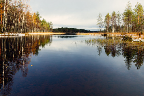 rautavaara finland suomi tiilikkajärvinationalpark tiilikkajärvenkansallispuisto sammakkojärvi järvi lake vesi water
