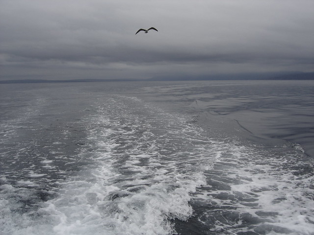 Sivi dan na moru