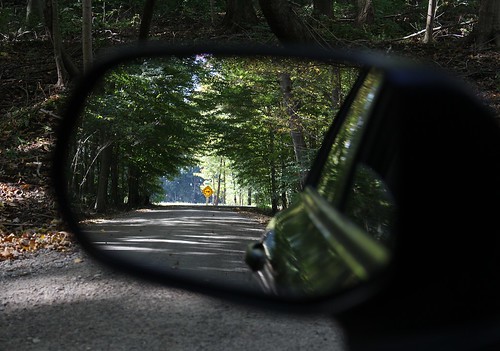 mirror car forest woods