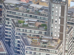 Green roofs of London