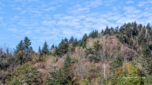 augphotoimagery blueridgeparkway landscape mountains nature outdoors scenic trees sylva northcarolina unitedstates