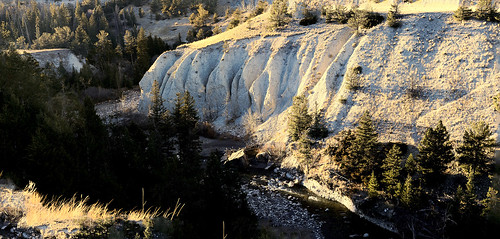wyoming sunlightbasin shoshonenationalforest sunlightcreek moraine gravels glacialdeposits pebbles erosion fluted bank bench trees water creek stream