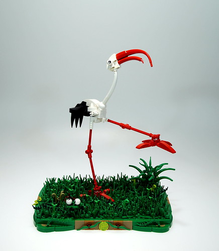 Curve-billed Stork