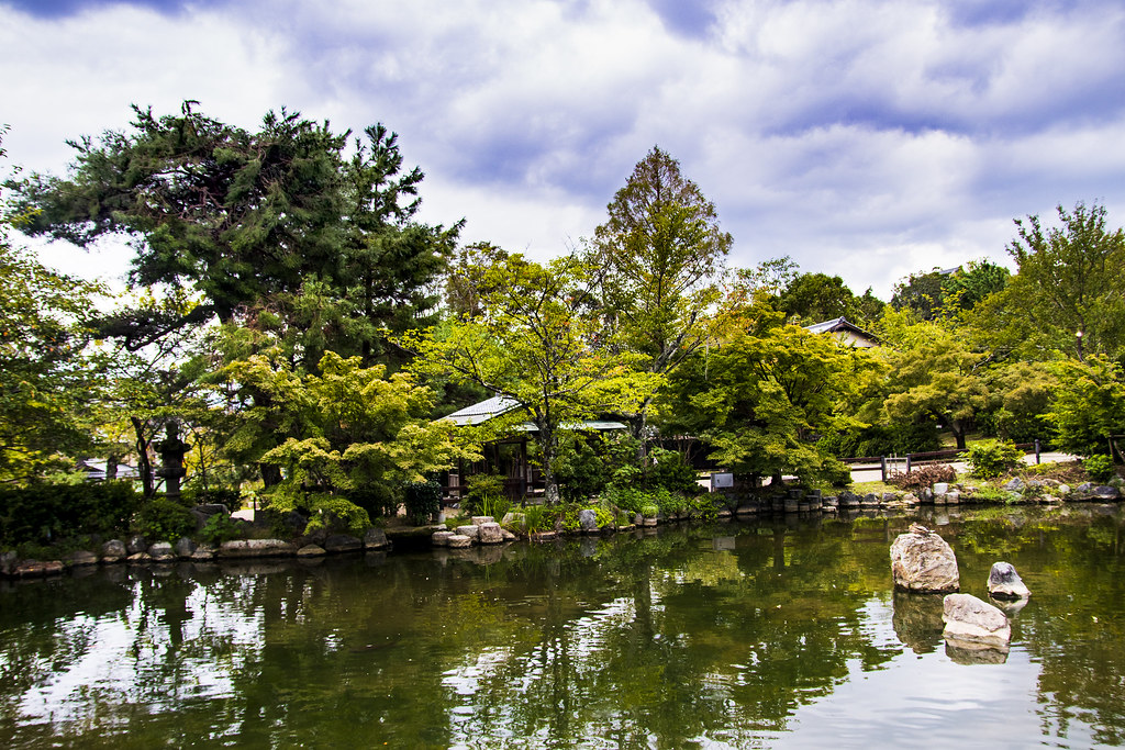 Pond Landscape in Kyoto