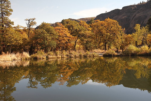 oakcreekwildlifearea garryoak quercusgarryana autumn reflections pond lake water trees washingtonstate yakimacounty