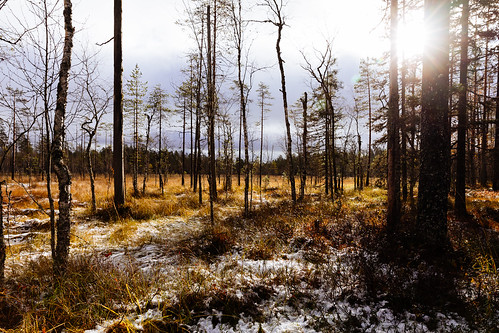 rautavaara finland suomi tiilikkajärvinationalpark tiilikkajärvenkansallispuisto aurinko sun