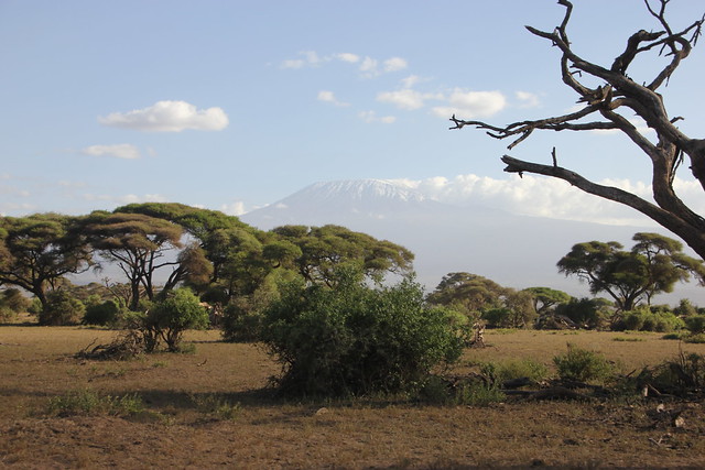 Dia 2: Comienza la aventura: primer contacto con Amboseli (10/02/2018) - Hakuna Matata: Memorias de Africa - En construccion! (19)