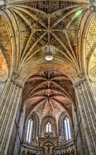geo:lat=4053828485 geo:lon=726945162 geotagged guarda portugal cruzeiro capelamor sé catedral cathedral nave lateral gotico gothic nikon d7000 stonework architecture building wall vault altarmor