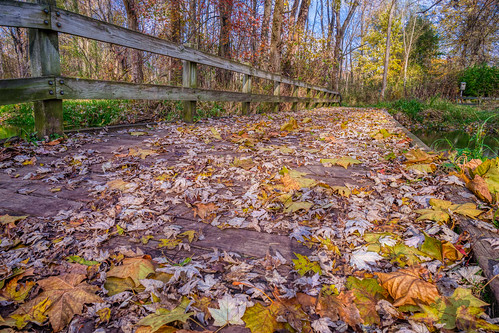bonneyvillemillcountypark hdr indiana nikon nikond5300 outdoor autumn bridge color fall footbridge geotagged leaf leaves park tree trees bristol unitedstates