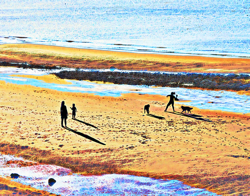 beach walkingthedog capecod ocean water play shadow sunset silhouette tide dogs digitalpainting