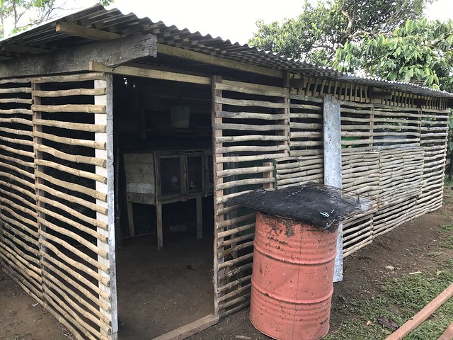 Chicken coop made of bamboo slats