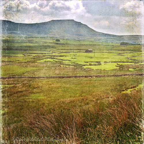 yorkshire yorkshiredales dales ingleborough landscapes texture grasses hills mountains