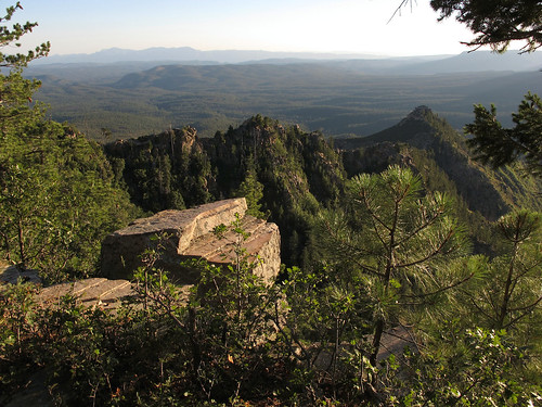 viewfromtheedge arizona wild landscape edge rimedgegnarlyscape view mogollonrim pronouncedmuggyown therim mountains cliffs forest trees gnarlyscape cliffedge ponderosapineforest viewpoint gnarlylandscape rocky rimedge vista summer beauty coconinonationalforest coloradoplateau 7600ftelevation highcountry outinthewild nature southwest canonpowershotg12 pspx9 zoniedude1 earthnaturelife