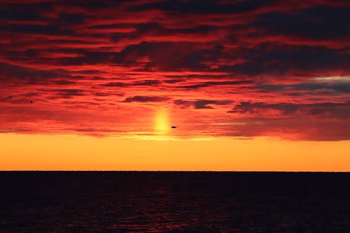 canada sunrise scarborough