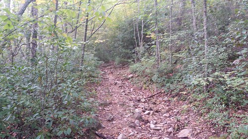 Mill Creek Trail Sherando Lake Recreational Area