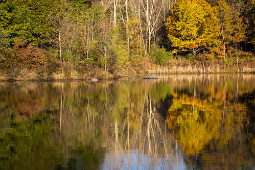 pond autumn lcfpd landscape captaindanielwrightwoods nature reflection reflections illinois lakecountyforestpreservedepartment wrightwoodspond fall fallcolors sunrise lincolnshire unitedstates us