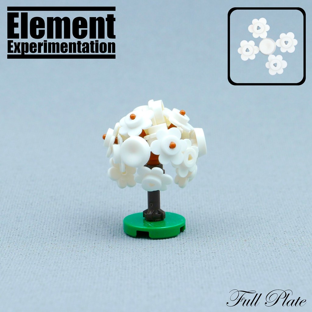 Element Experimentation: Cherry Blossom