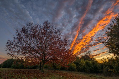autumn nikon d7100 topazclarity maidstone tree leaves tamron1024f3545diiivchld bearstedgolfcourse kent sunset clouds england