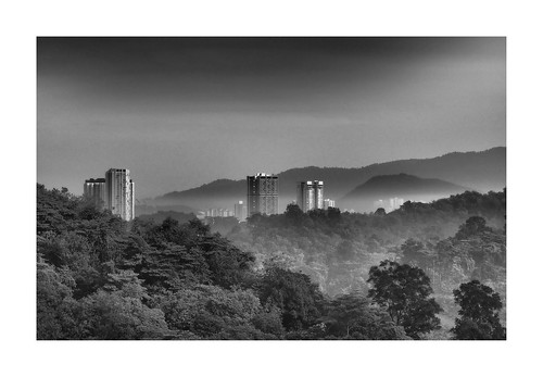 malaysia kualalumpur kl view jungle city urban urbanjungle landscape hills black white monochrome trees nature