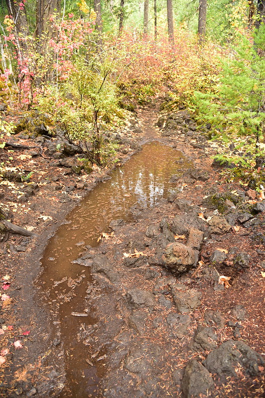 Trail puddles