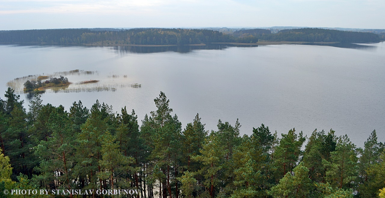 Лабанорская пуща – самый крутой лес Литвы labanoras06