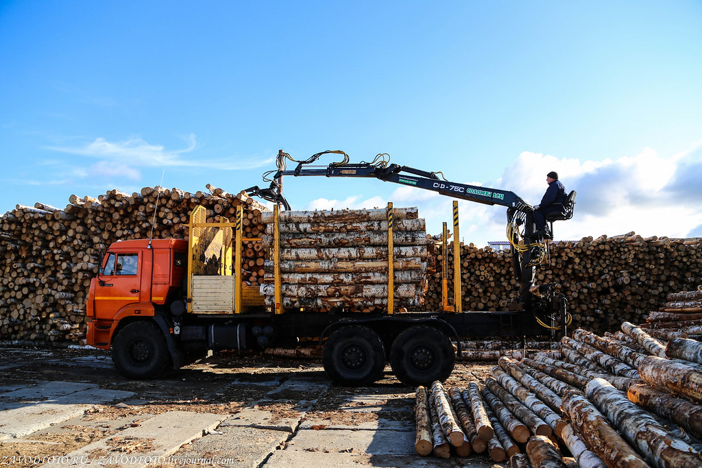Россия может прекратить поставки древесины и ряда изделий из неё в Европу ЛЕСНАЯ