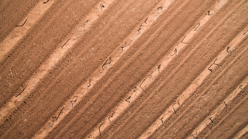 dji phantom3advanced quadcopter drone djifc300s aerial vertical grapevines vineyard soil cultivation lines rural pokolbin