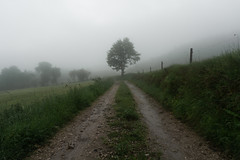The Country Lane - Photo of Saint-Julien-Chapteuil