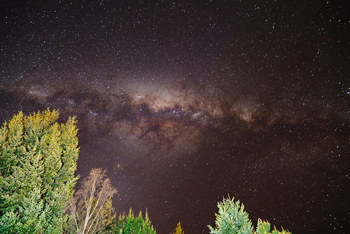 milky way stars sky trees springs newzealand pentax pentaxk1 sigma20exdg18 hanmer