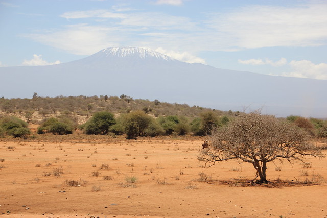 Dia 2: Comienza la aventura: primer contacto con Amboseli (10/02/2018) - Hakuna Matata: Memorias de Africa - En construccion! (8)