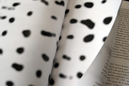 Bokeh, intervention in a publication, commissioned by Point of Contact, published by Syracuse University Press, 2010. Artist Nayda Collazo-Llorens