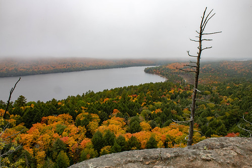 autumn landscape forest algonquinprovincialpark nikond850 rocklake fallcolours fall ontario algonquinhighlands canada ca