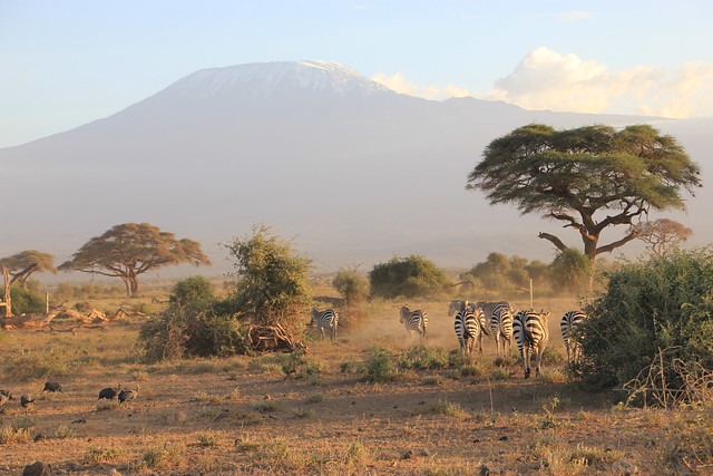 Dia 2: Comienza la aventura: primer contacto con Amboseli (10/02/2018) - Hakuna Matata: Memorias de Africa - En construccion! (21)