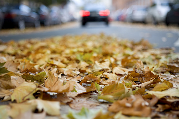 Leaves the street - autumnal urban scene