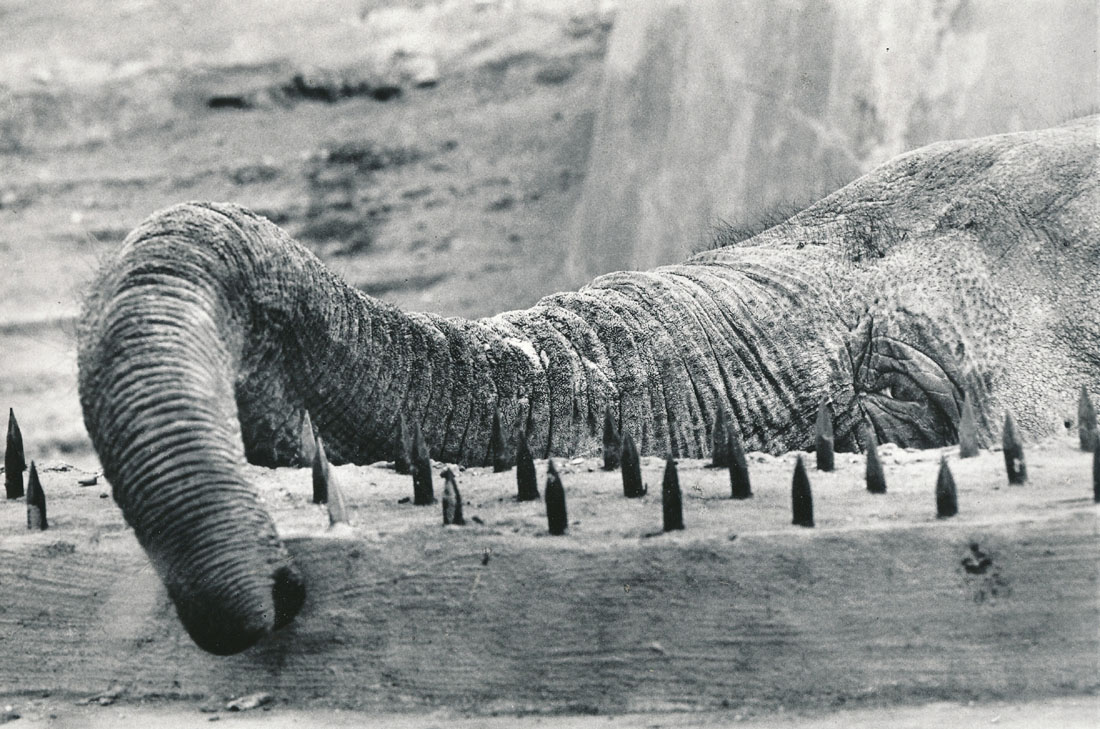 1982. Слон в московском зоопарке