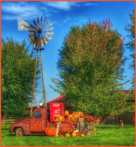 windmill pumpkins harvest fall dog watchdog oldtruck truck bolivarmissouri missouri