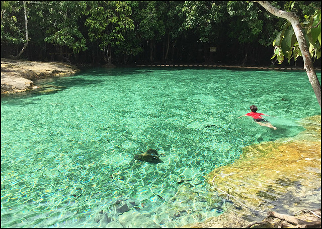 Emerald Pool, Krabi
