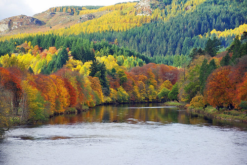 ericrobbniven scotland dunkeld perthshire landscape rivertay autumn springwatch