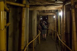 Photo 5 of 5 in the Indiana Jones Adventure: Temple of the Forbidden Eye gallery
