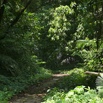 krung-ching-trail