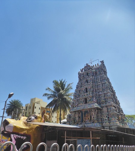 is-2 bengaluru-bull temple (1)