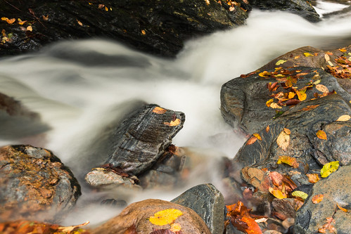 kmsmith canon outdoors nature water creek alumcreek greatsmokymountainsnationalpark rocks leaves tennessee