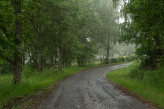 Country Roads - Photo of Saint-Julien-Chapteuil